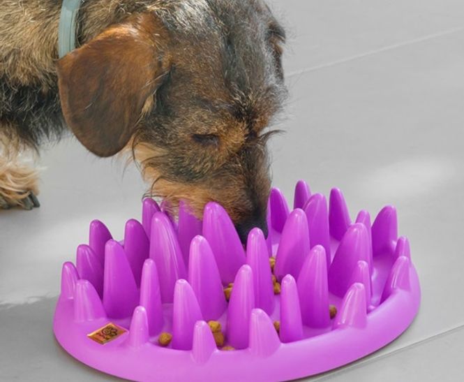 Hovedbilde My pet langsom Matbolle