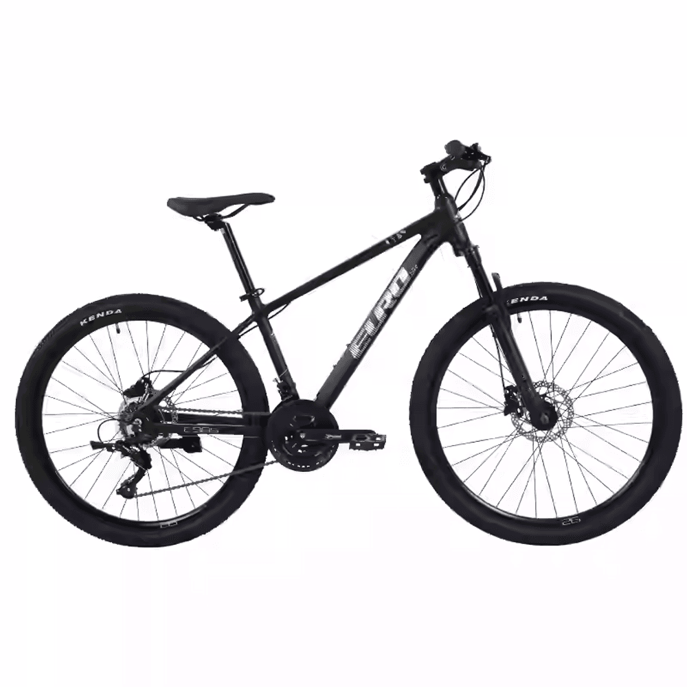 Mountain bike 26