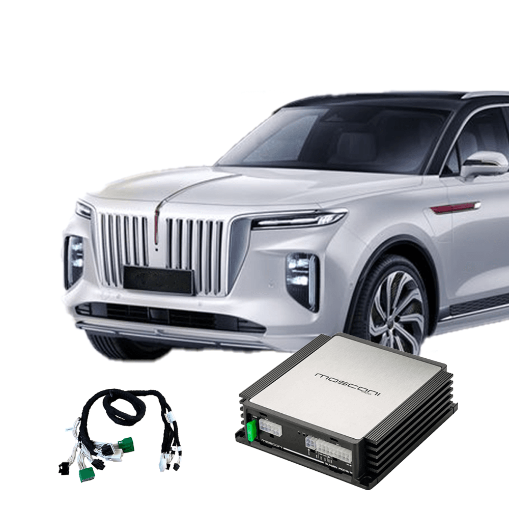 Lydpakke til Hongqi E-HS9 2021-> DPS forsterker (Steg 1)