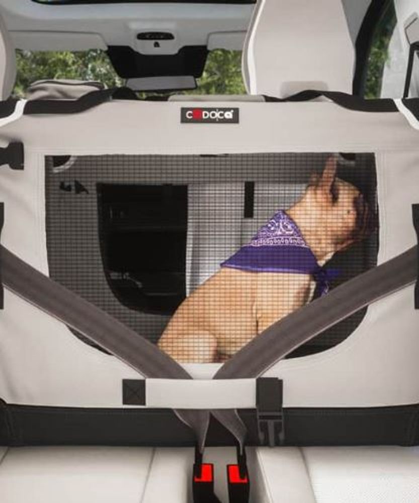 Transportbur sammenleggbart - XL 82x59x59 cm