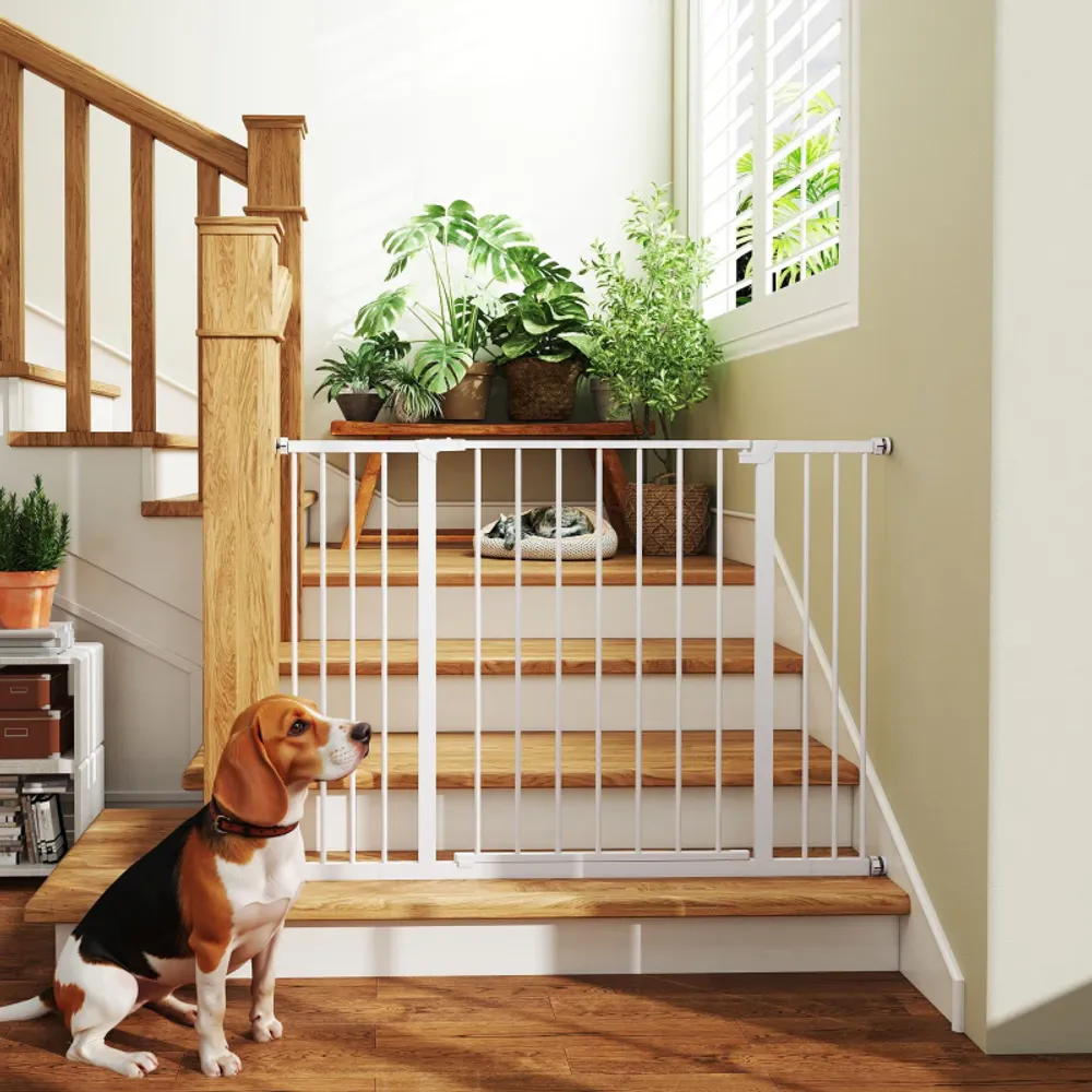 Hundegrind uten boring – 76 cm høy
