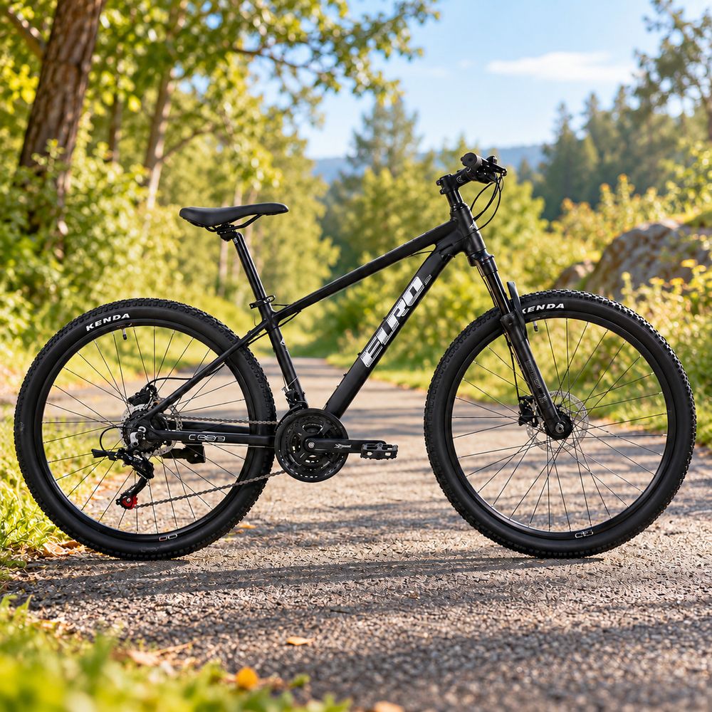 Mountain bike 26